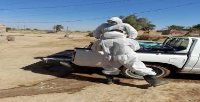 كوادر بيطرية