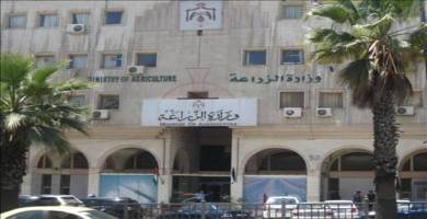 وزارة الزراعة توافق على تزويد مربي الجاموس في ذي قار  بمادة النخالة 