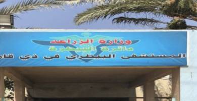 لوحة المستشفى البيطري