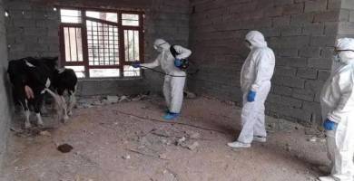 ذي قار تسجل حالة وفاة جديدة بالحمى النزفية