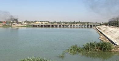 جسر الزيتون