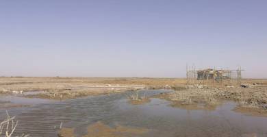 إذاعة الناصرية: أهوار ذي قار تفقد نصف سنتمتر يومياً من منسوبها المائي