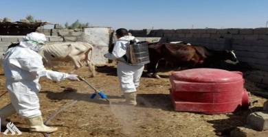 من يمج  بس اكتبي حملة مكافحة الحمى النزفيه
