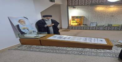 السيد الصافي