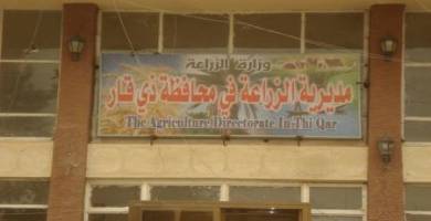 زراعة ذي قار