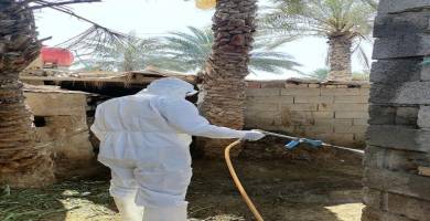 إجراءات احترازية للسيطرة على بؤرة "الحمى النزفية"  شمال الناصرية