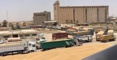 مواقع تسلُّم الحنطة في ذي قار تستقبل اكثر من 140 الف طن 
