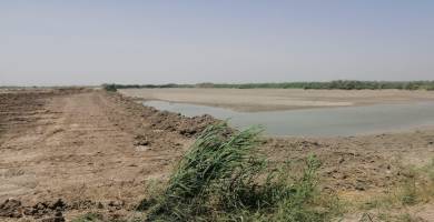 بحيرت الاسماك
