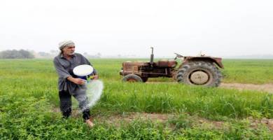 خطة الراعية