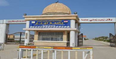 جامعة ذي قار