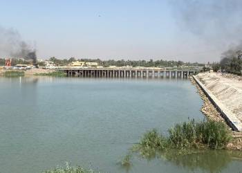 جسر الزيتون