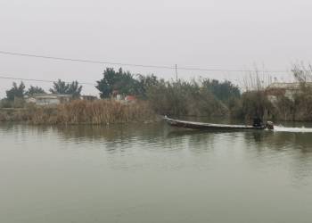 الاهوار