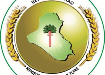 الزراعة تكشف عن توجه لإقرار قانون خاص بالاستثمار الزراعي